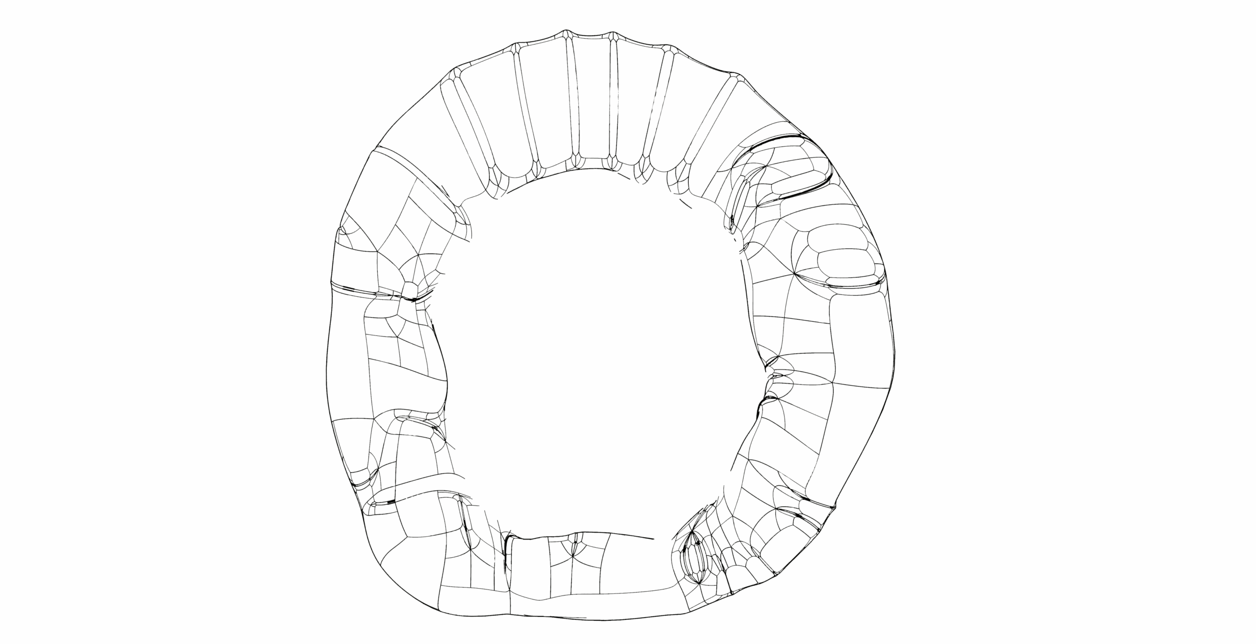 bloom wireframe